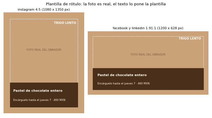 Gráfica: Rótulos con una plantilla. Plantilla de rótulo con matplotlib: foto de juguete, margen seguro, logotipo textual y contraste WCAG