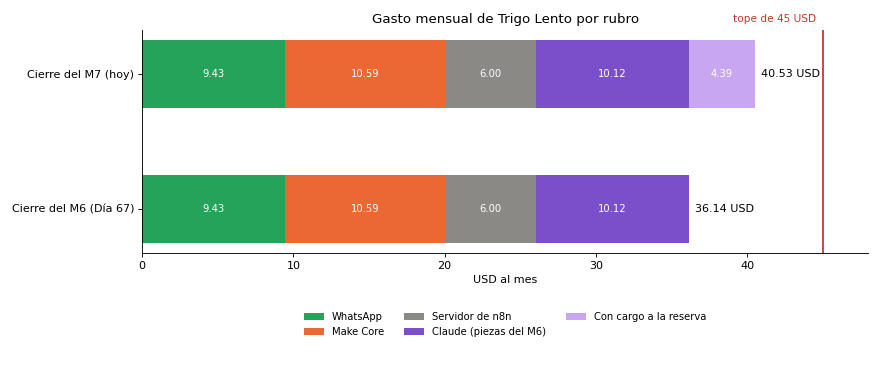 Gráfica: Resultados en el cuadro de mando. Gasto mensual por rubro al cierre de los módulos 6 y 7 frente a los 45 USD
